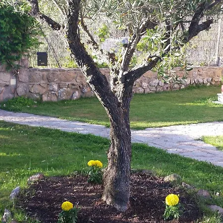 Tatil Evi La Dehesa *
